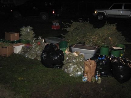 Medical marijuana growers arrested