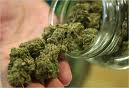Sheriff’s destruction of medical marijuana leads to lawsuit