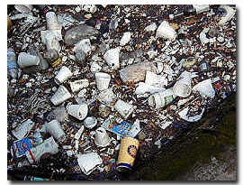 SLO IWMA board votes for Styrofoam ban