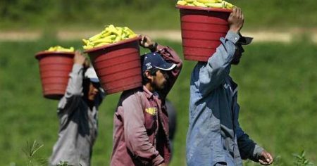 Santa Maria man exploited farmworkers in visa fraud scheme