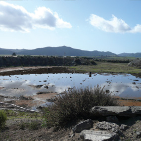 SLO skeletal remains identified