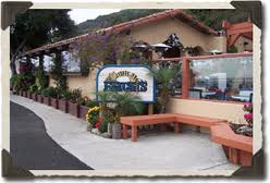 Fat Cats Cafe files for bankruptcy