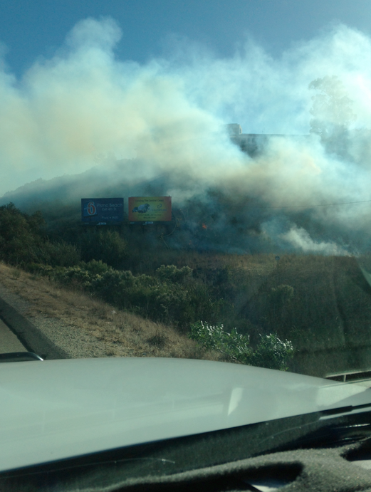 Vegetation fire comes close to KSBY studio