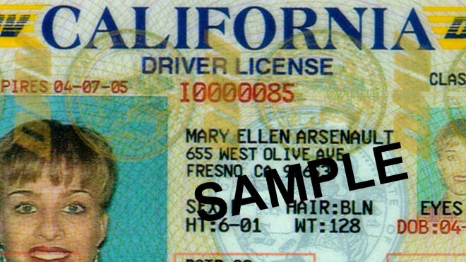 California to grant driver’s licenses to illegal immigrants