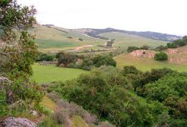 Pismo Beach council staves off city election on Spanish Springs