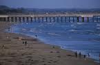 Pismo Beach breaks its own bed tax revenue record