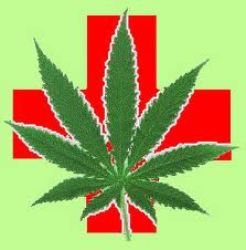 Nipomo marijuana dispensary proponents lose legal battle