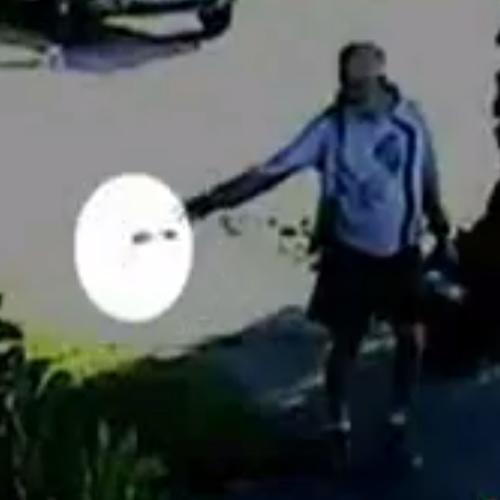 California mayor resigns amid dog poop tossing scandal