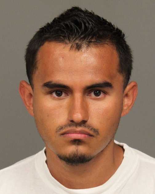 Gang members arrested for assault