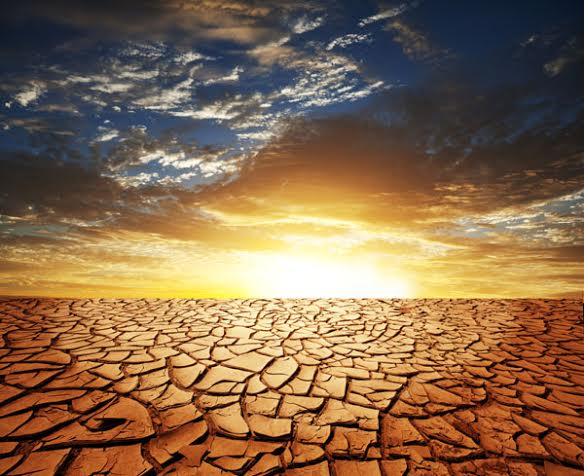 Drought means opportunity for some