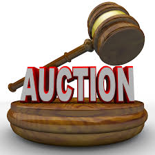 San Luis Obispo Children’s Museum takes its auction online