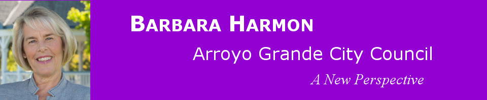 Arroyo Grande residents vote for change