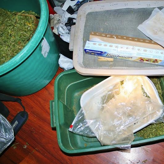 Arroyo Grande baby tests positive for marijuana