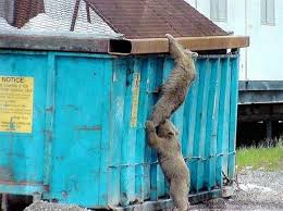 Atascadero seeking to outlaw dumpster diving