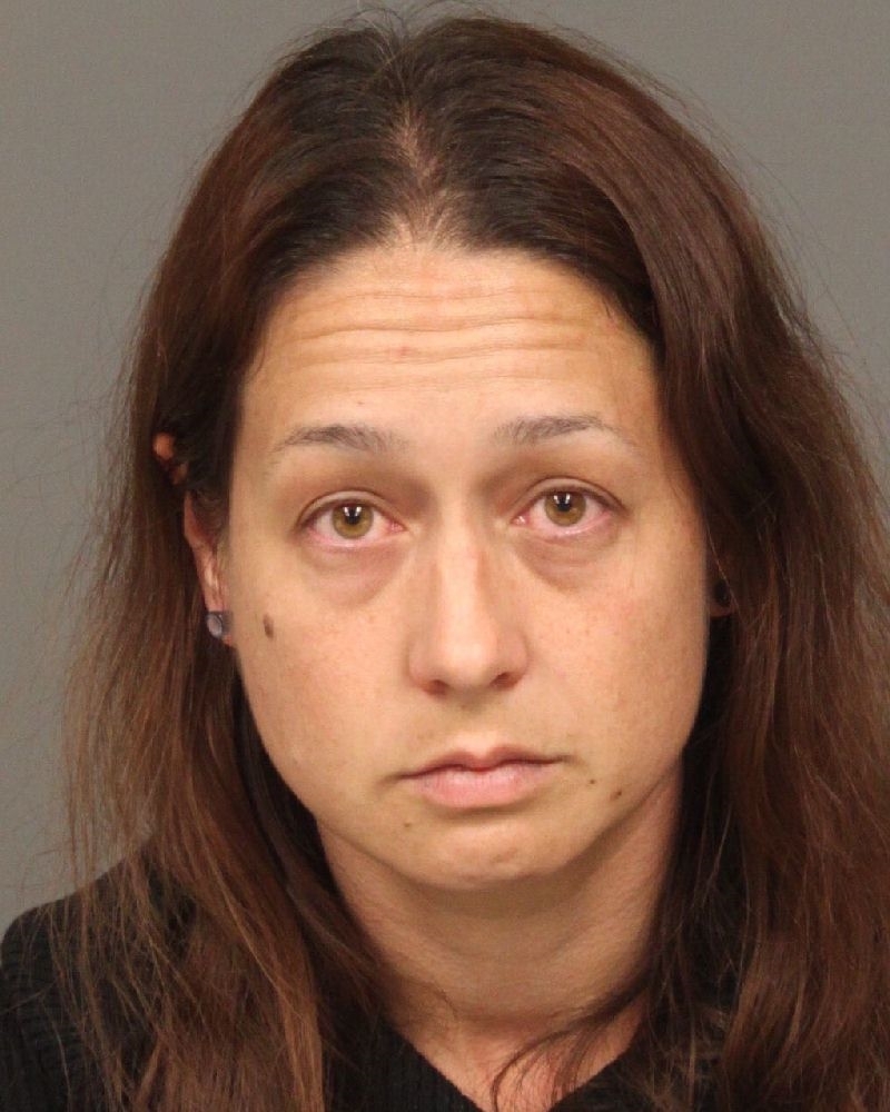 Deputies catch South County mail thieves