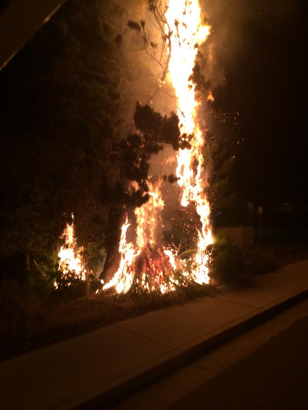 Fire breaks out in SLO creek