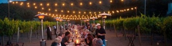 5 reasons not to miss the best wine, surfing and film event ever