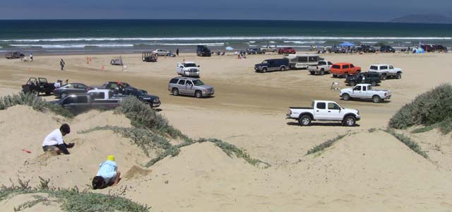 Time to stop the devastation at the Oceano Dunes