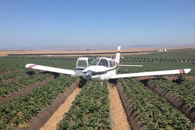 Plane crashes into Orcutt strawberry field