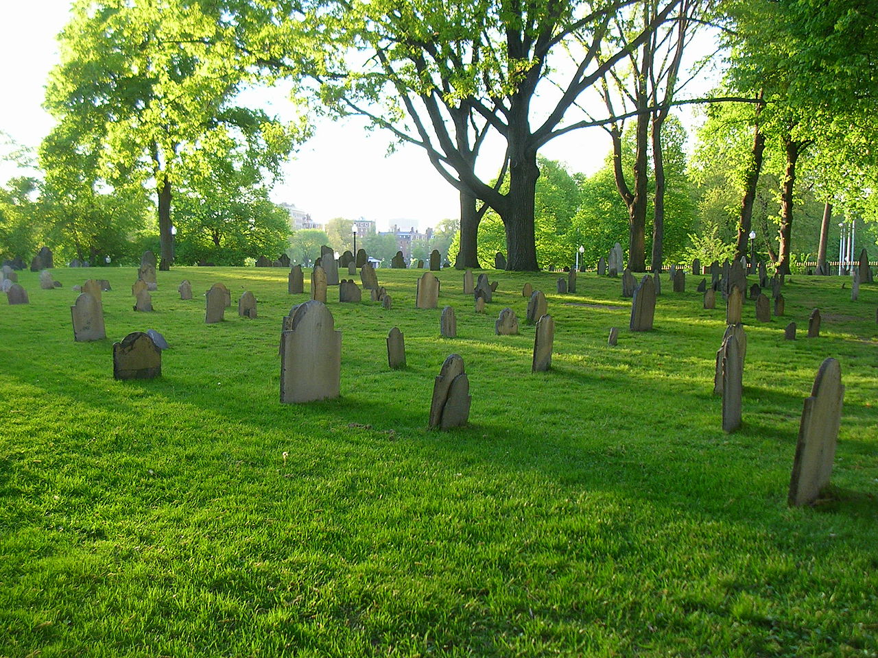 Crash victims escape SLO cemetery alive