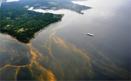 Algal bloom reaches record levels