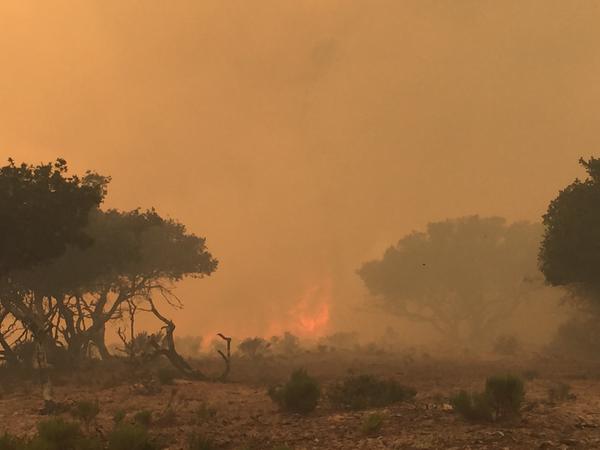 Fire burns 320 acres near Lompoc
