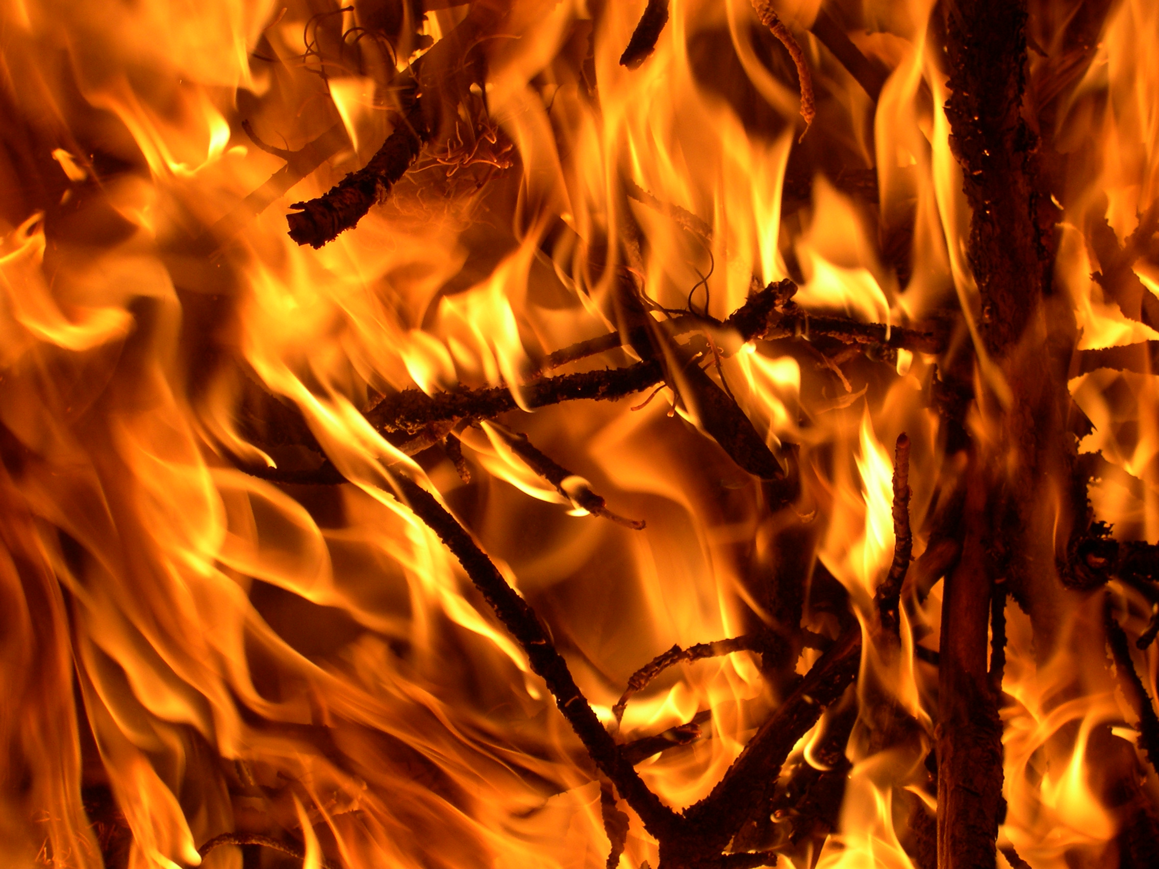 Paso Robles apartment catches fire