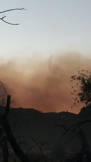 Santa Margarita fire burns three homes