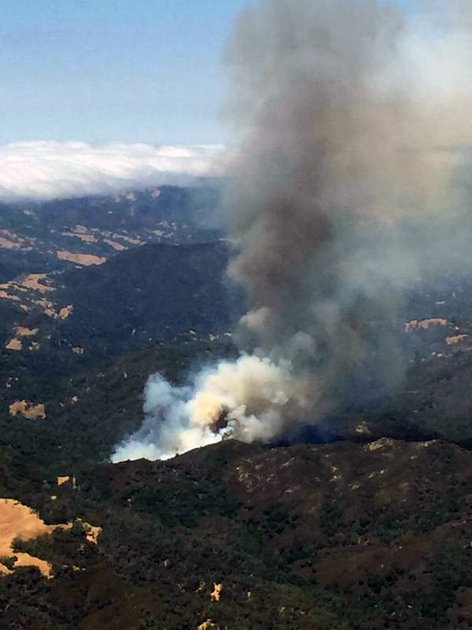 Marijuana grow caused Deer Fire