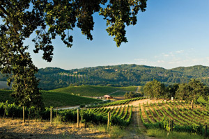 Tablas Creek Vineyard wins top winery award