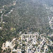 Cambria tree removal funded by state grant