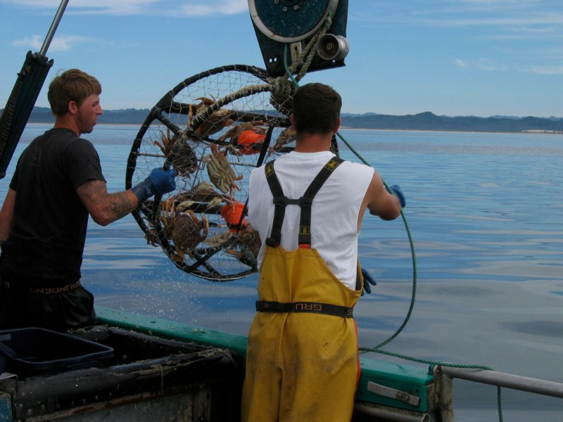 Crab season delayed indefinitely