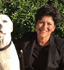 Dawn Ortiz-Legg’s ads are dirty and dishonest
