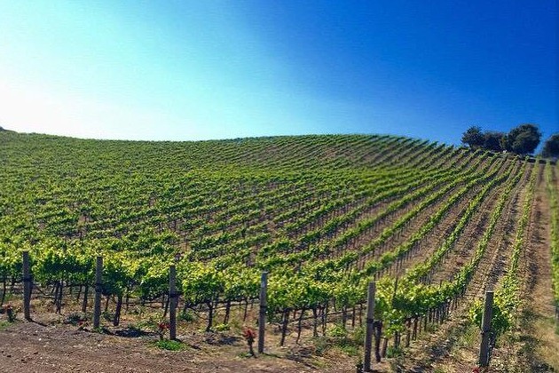 Laetitia winery development gaining approval