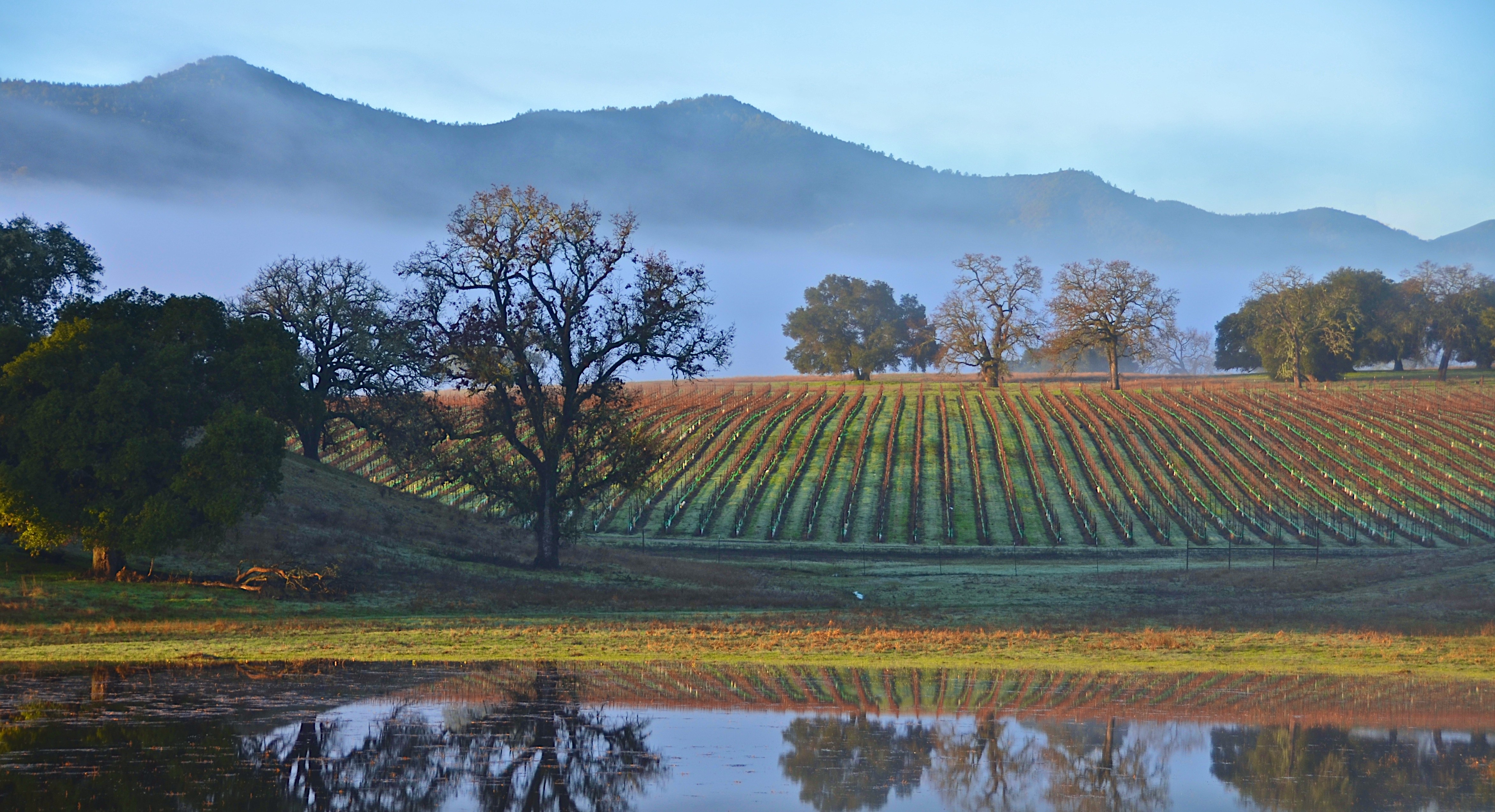 Paso Robles water district gets LAFCO approval