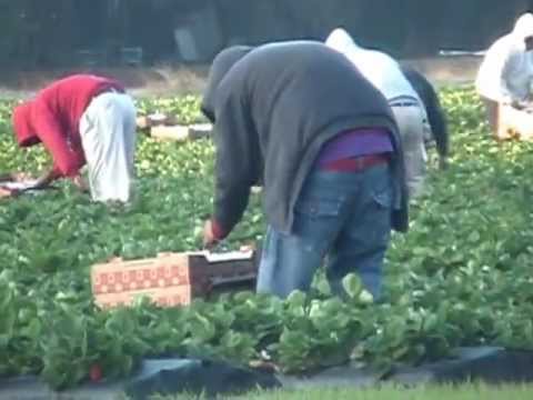 Nipomo neighbors in uproar over migrant housing