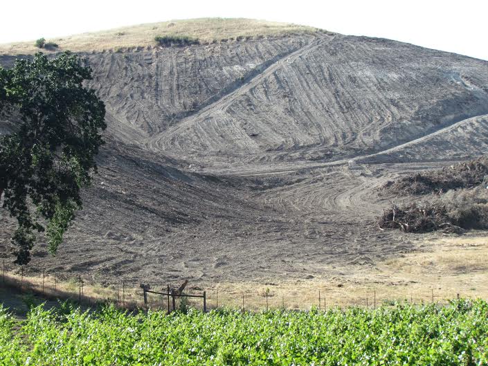 Animal sanctuary sold to the Resnicks, deforested