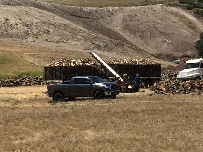 SLO County Supervisors approve oak tree and reservoir ordinances