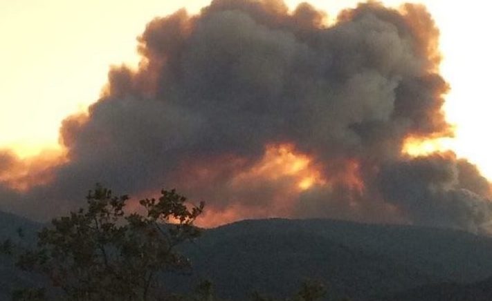 6 homes destroyed in Central Coast wildfire