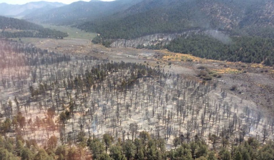 Governor Brown declares state of emergency for SLO County