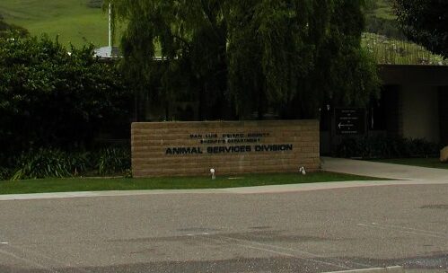 SLO County Animal shelter costs soar to $20 million