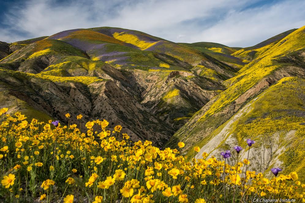 Carrizo Plain National Monument threatened