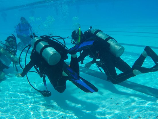Central Coast man dies while diving off Key Largo