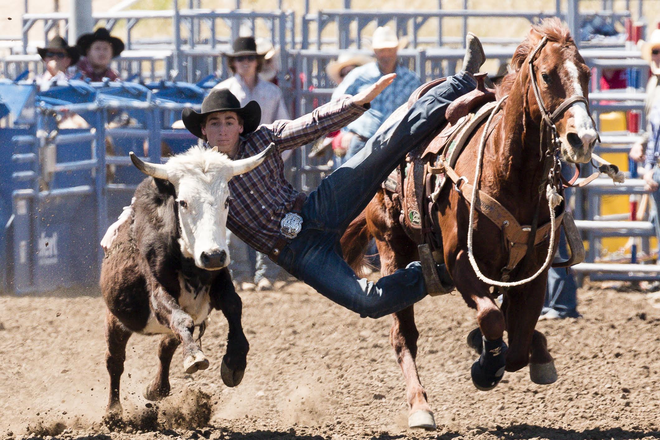 6 Central Coast students win spots on state rodeo team