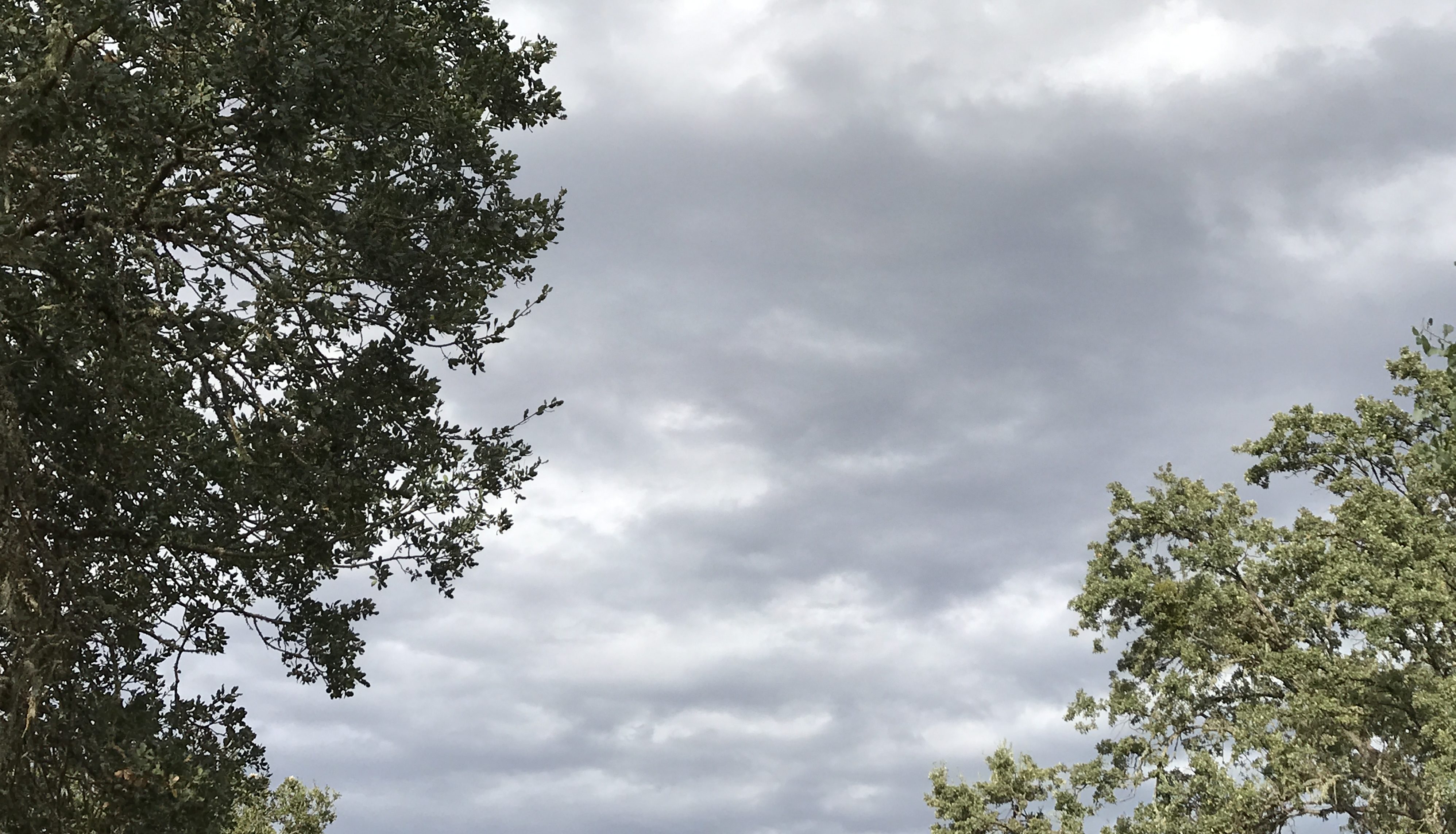 Flash flood watch for parts of SLO and Santa Barbara counties