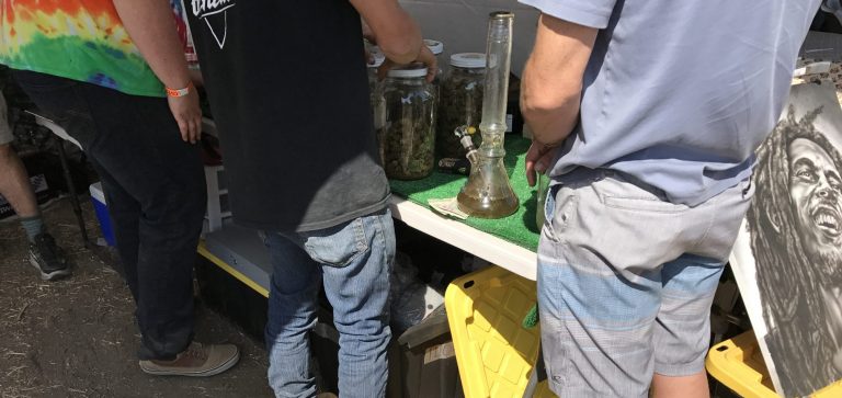California fielding hundreds of illegal marijuana business complaints