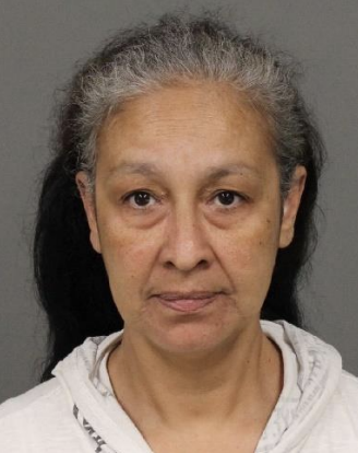 Los Osos woman arrested for attempted kidnapping
