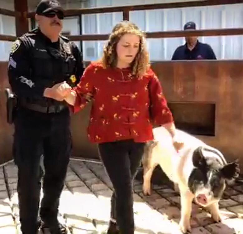 Activist attempts to save Cal Poly pig from slaughter, holds vigil