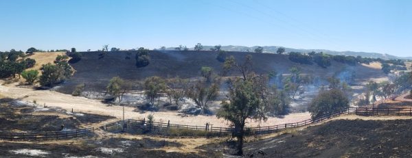 Mower sparks 60 acre fire in Paso Robles