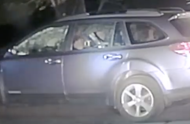 See what climbs out of this car window in California, video
